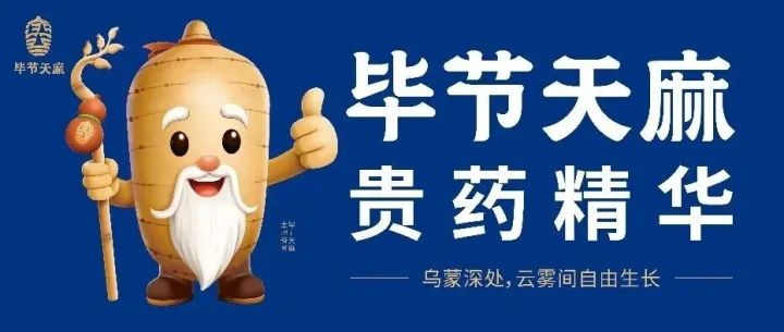 <em>毕节</em>天麻大湾区推介会举办，品牌形象首次亮相
