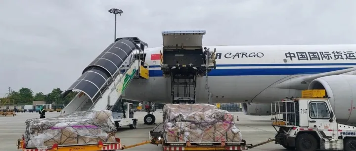 中国国际航空货运网络加速扩张！前8个月新增115条国际货运航线
