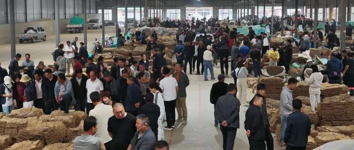 【聚焦第七届中国（甘肃）中医药产业博览会】龙头领航陇西药市 道地陇药行销全国
