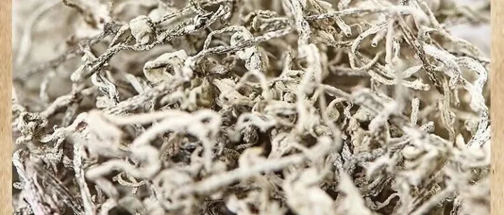 藏地风物志｜第十五期：西藏莓茶
