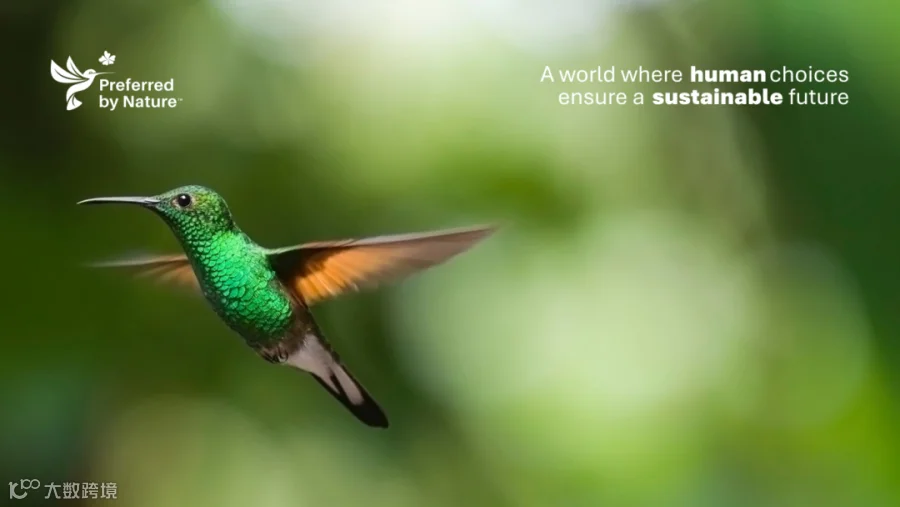 hummingbird_1.png