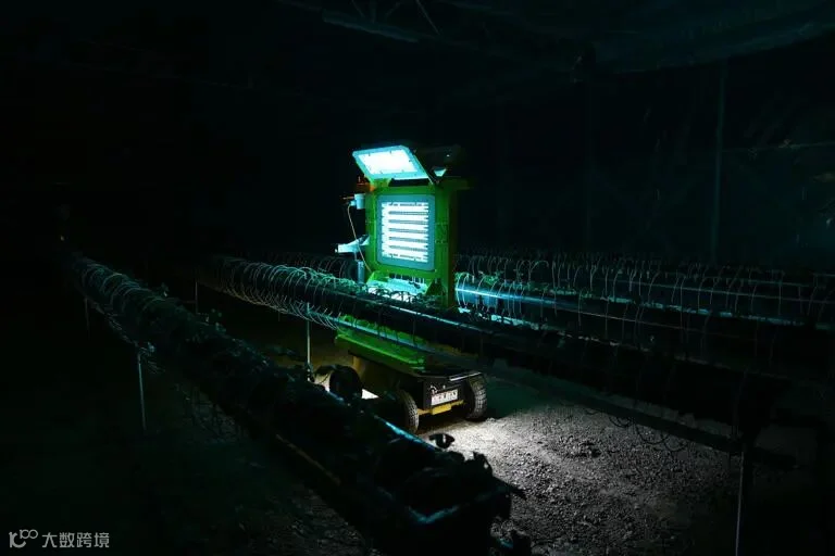 紫外光物理植保机器人在对草莓进行真菌病防治