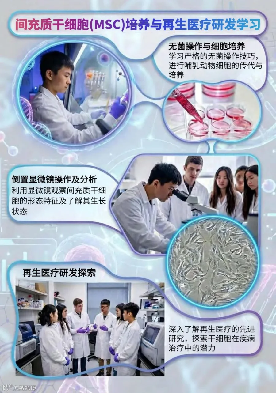东京研学3.jpg