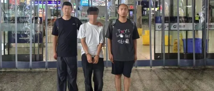 职业打假人该收手了，多地职业打假人被抓或判刑