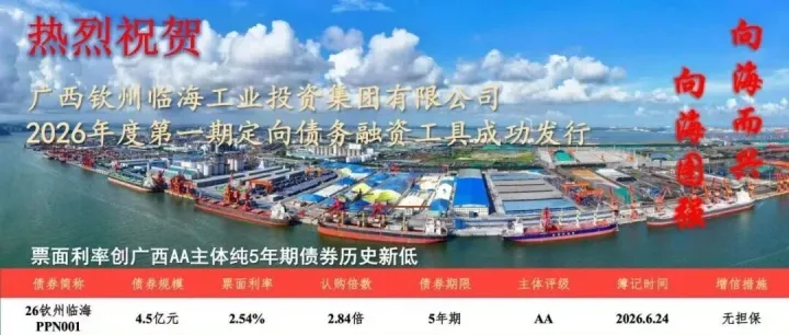 <em>钦州</em>临海工业集团发行4.5亿元债券！