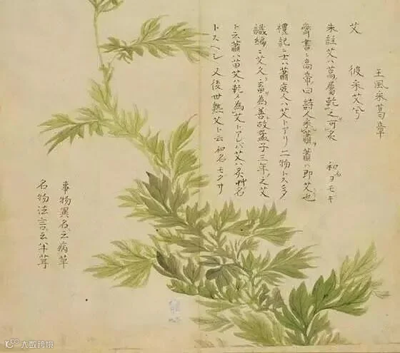 https://image.ipaiban.com/upload-ueditor-image-20180814-1534230194126057532.jpg