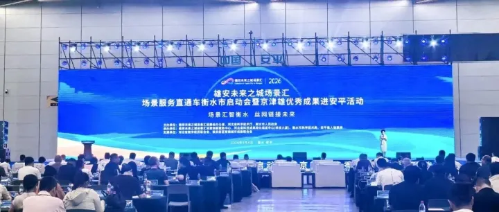 王玉安在雄安未来之城场景汇<em>衡水</em>站活动上作主题分享
