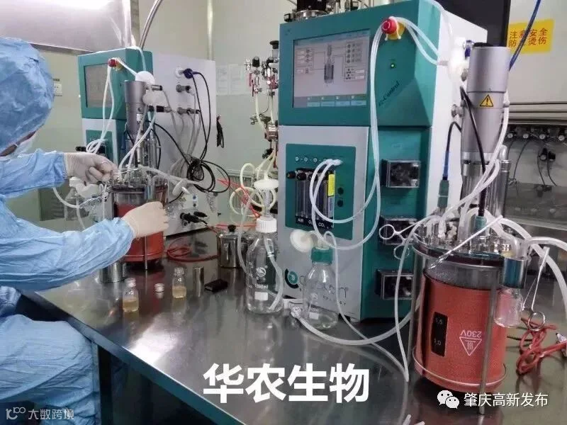 微信图片_20180606123124_副本.jpg