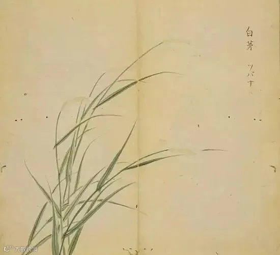 https://image.ipaiban.com/upload-ueditor-image-20180814-1534231031694006314.jpeg