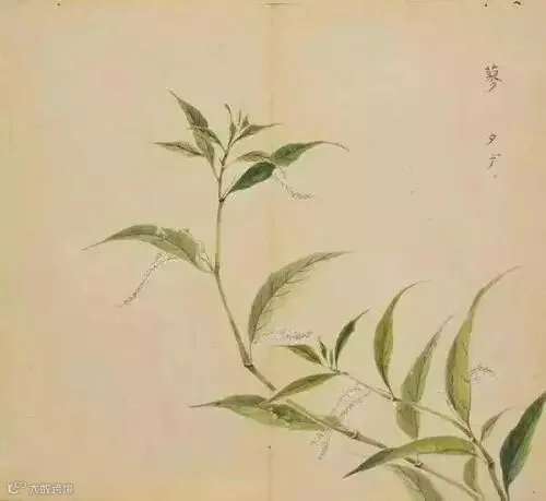https://image.ipaiban.com/upload-ueditor-image-20180814-1534229474349064999.jpg