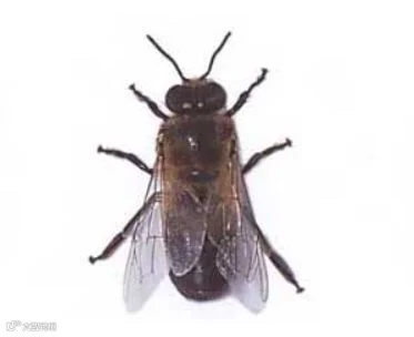 https://image.ipaiban.com/upload-ueditor-image-20180809-1533797134535041847.png