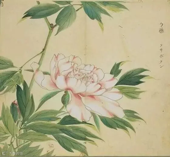 https://image.ipaiban.com/upload-ueditor-image-20180814-1534231592511099733.jpeg