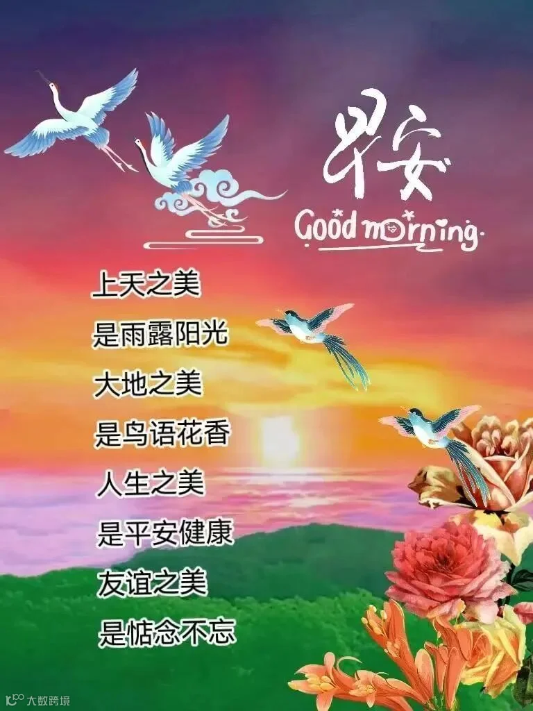 早安！岁月静好，阳光明媚，健康快乐是最好的礼物。让烦恼飞走，让压力消散，让美好降临，让幸福绽放。祝你在今天迈出成功的一步，愿你的心情如同早晨的阳光一般明朗。早上好！