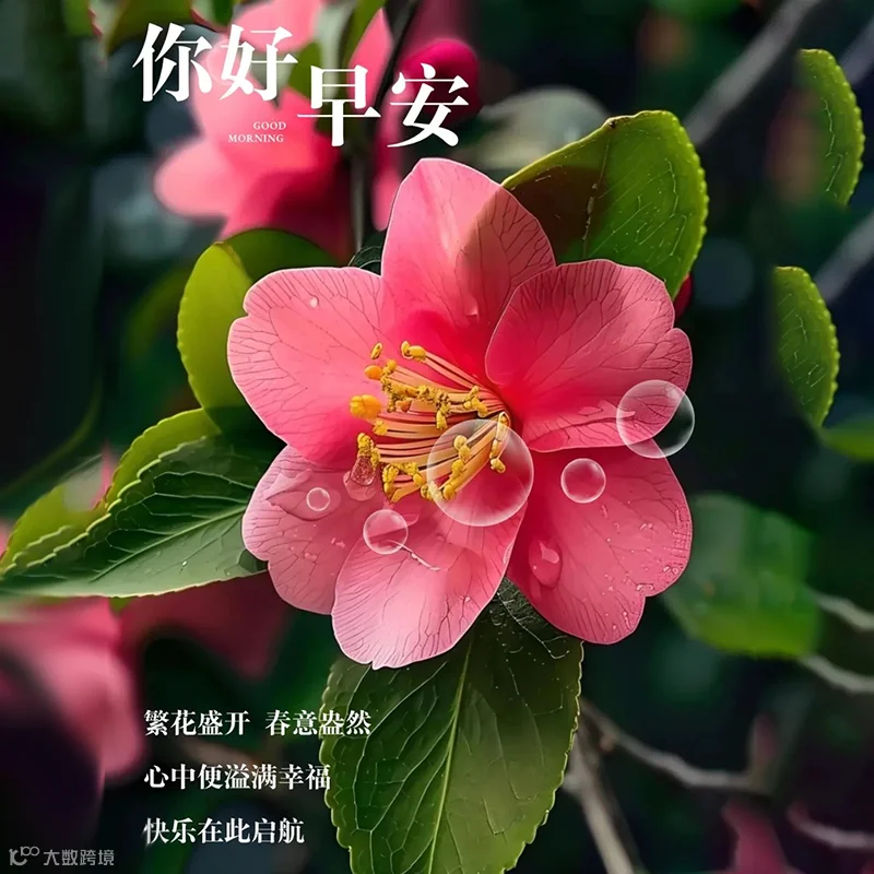 心是用来相拥的，情是用来相惜的，快乐是用来自我讨好的，希望你的心情总是被快乐环绕的。早上好，朋友，祝你天天好心情。