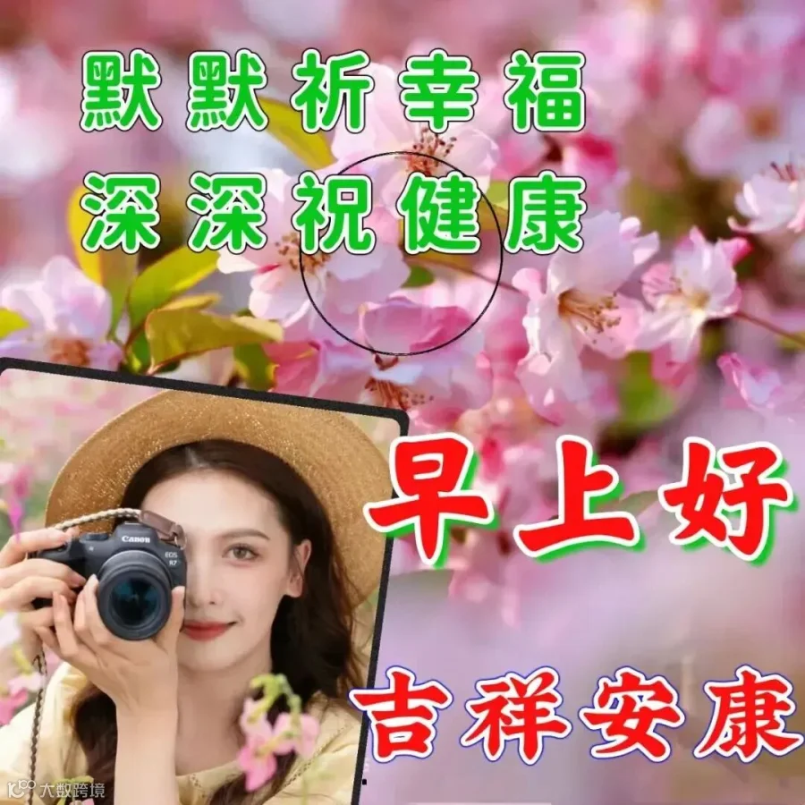 缘在天意，美在笑意，善在心意，情在诚意，愿我们都万事如意！好友从不忘，亲情不分离，醒来送吉祥，情深意更长，健康平安，幸福快乐每一天！早安愉快！