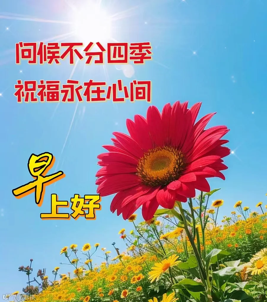 人生一辈子，情谊最值钱。彼此常问好，健康过百年。感恩常挂念，过好每一天。浪漫周末，寄一份温暖；问候之中，寄一份思念。愿我们事事如意，天天平安，与健康同行，与幸福相伴，早上好！