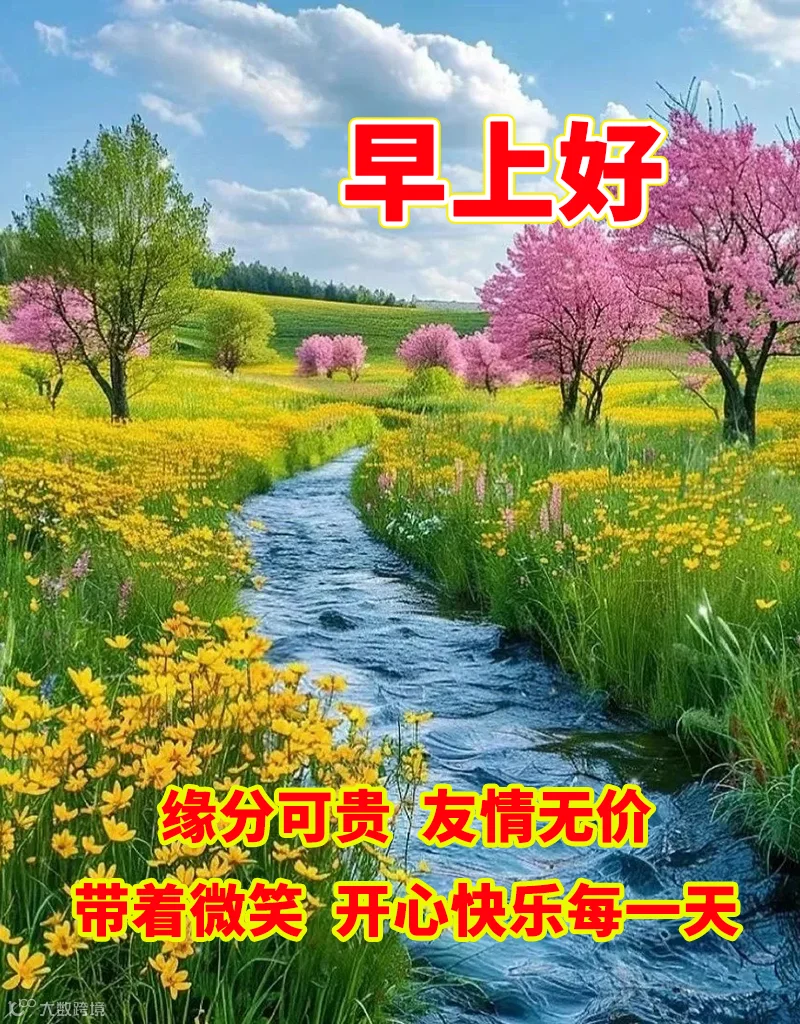 晨光洒满你的窗前，好运永远跟着跑。愿你每天笑到合不拢嘴，如意事事都有份。早安，带着幸福出发。早上好！