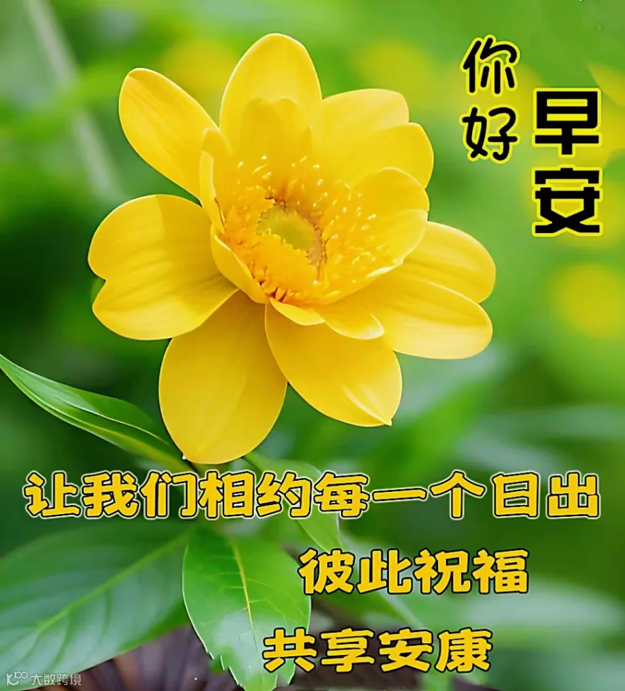 长长久久，是岁月；忙忙碌碌，是人生；平平安安，是幸福；真真切切，是友情。缘在天意，美在笑意，善在心意，情在诚意。