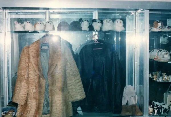老照片 (89).jpg
