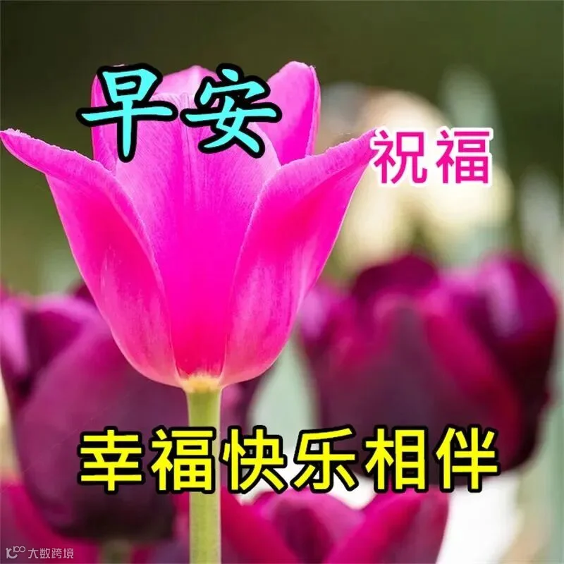 清晨，是梦想与现实交织的起点，愿你像海明威所言：“真正的高贵，是优于过去的自己。”在每一个日出日落之间，不断成长，超越自我，让生命之树结满累累硕果。早安，愿你的一天，充满进步的喜悦，和对未来的无限憧憬。