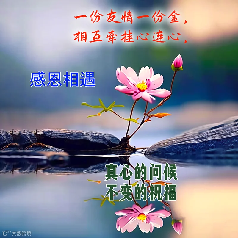 健康是金，千金不换，开心是财，财源不断。善良是福，福深似海，珍惜是宝，宝重如山。知足常乐，乐满庭园，问候是情，情比蓝天。新的一天，吉祥康泰！