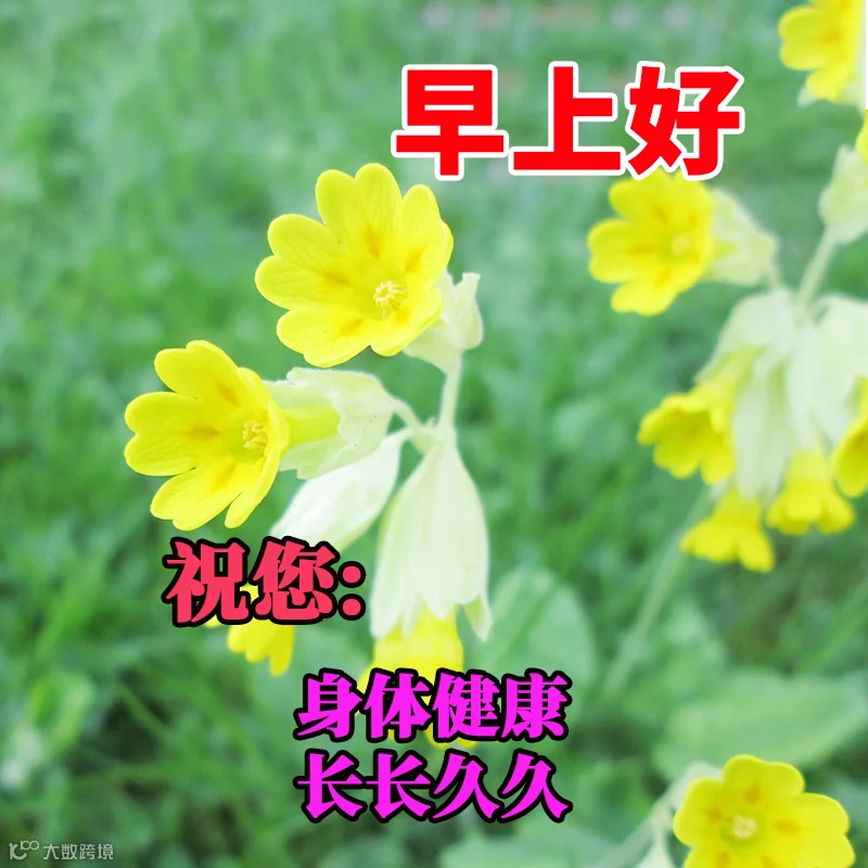 感谢岁月中缔结的友情，感恩人生路途上美好的相遇，一声“你好！”是我最为真挚的牵挂，一句“安康！”是我永恒的祝福。感恩所遇，终生铭记，一路同行，幸福安康！早上好！