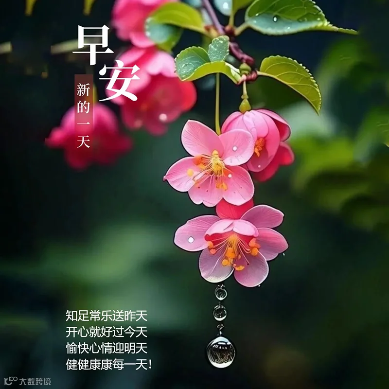 纯朴的友情，百年不变。心中的诚意，一生惦念。一声问候，平平淡淡。真诚祝福，平平安安。早上好！
