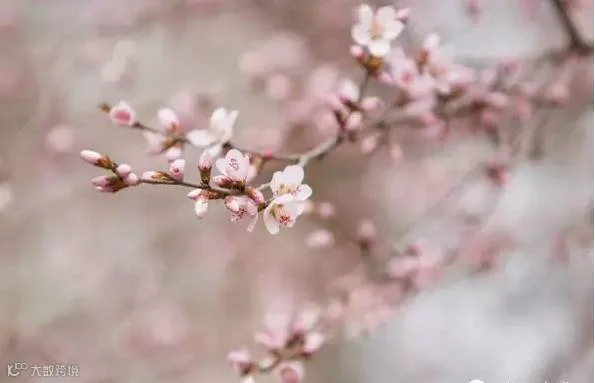 f9c7292c-11b6-432f-bc25-7b9a4fc86ef0.png