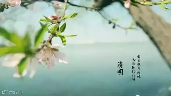 0049a0e2-270c-40fb-8fcd-4350266276eb.png