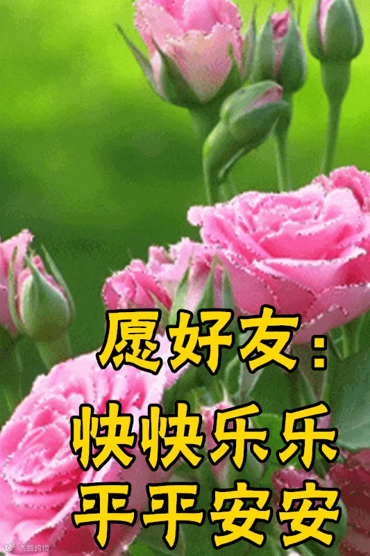身体养好，未来依然可期；家庭顾好，微笑坦然向暖；心态管好，岁月悠然静好！天气酷热，心静自然凉爽！周