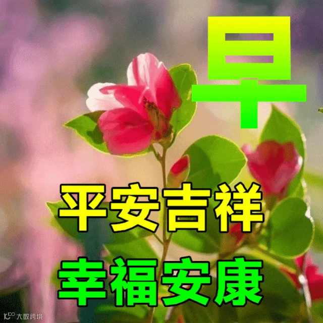 一天最美好的是早晨，让幸福如雨洒落你心房。让快乐如风飞到你面前。让健康如水，滋润你心前，让空间传递真诚的祝福。祝你健康平安快乐幸福！