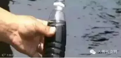 1445910688120467.jpg
