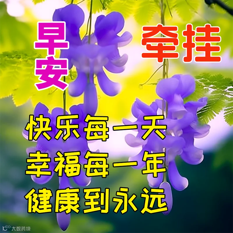 最新版早上好表情图片大全，真心的问候，不变的祝福