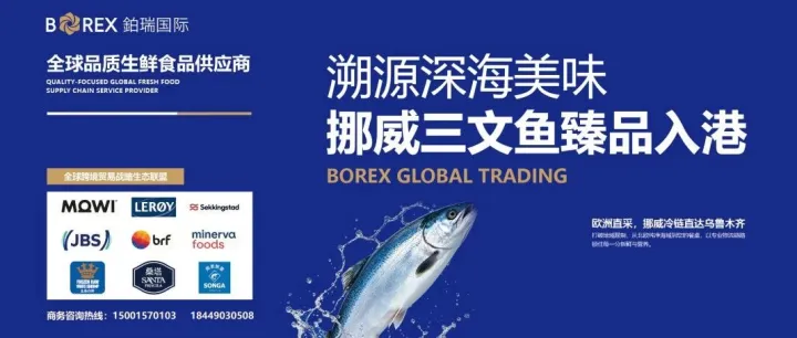 首批直航挪威三文鱼落地乌鲁木齐，新疆跨境生鲜通道再提速