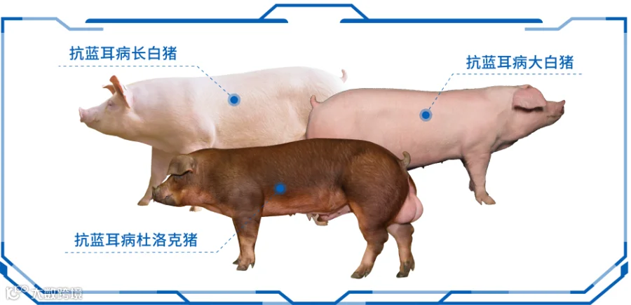 图片20.png