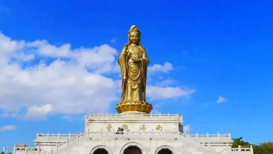 【关注】普陀山门票8月1日起调整了！舟山市民入山年卡价格呢？