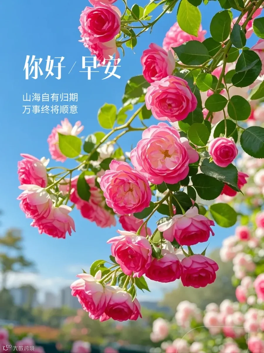 早安祝福图片