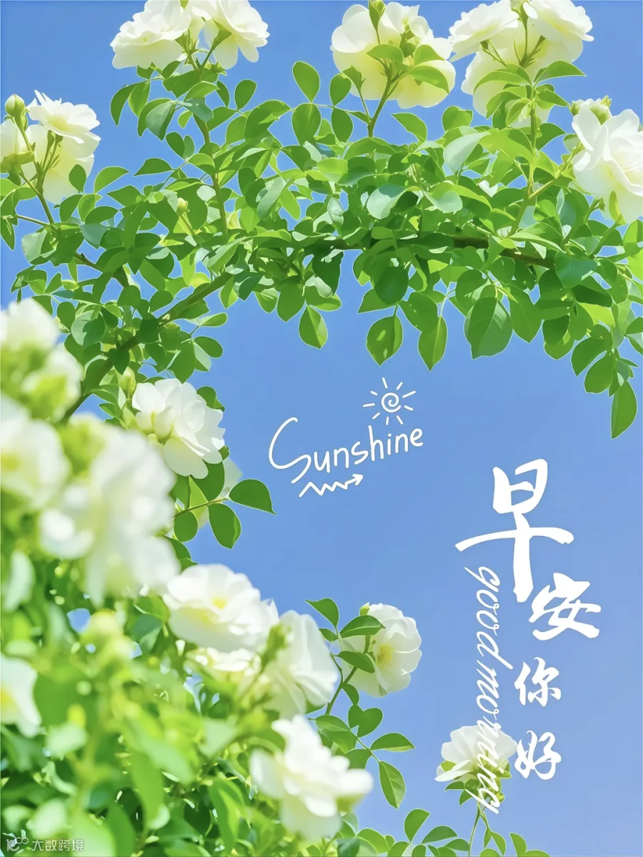 早安祝福图片
