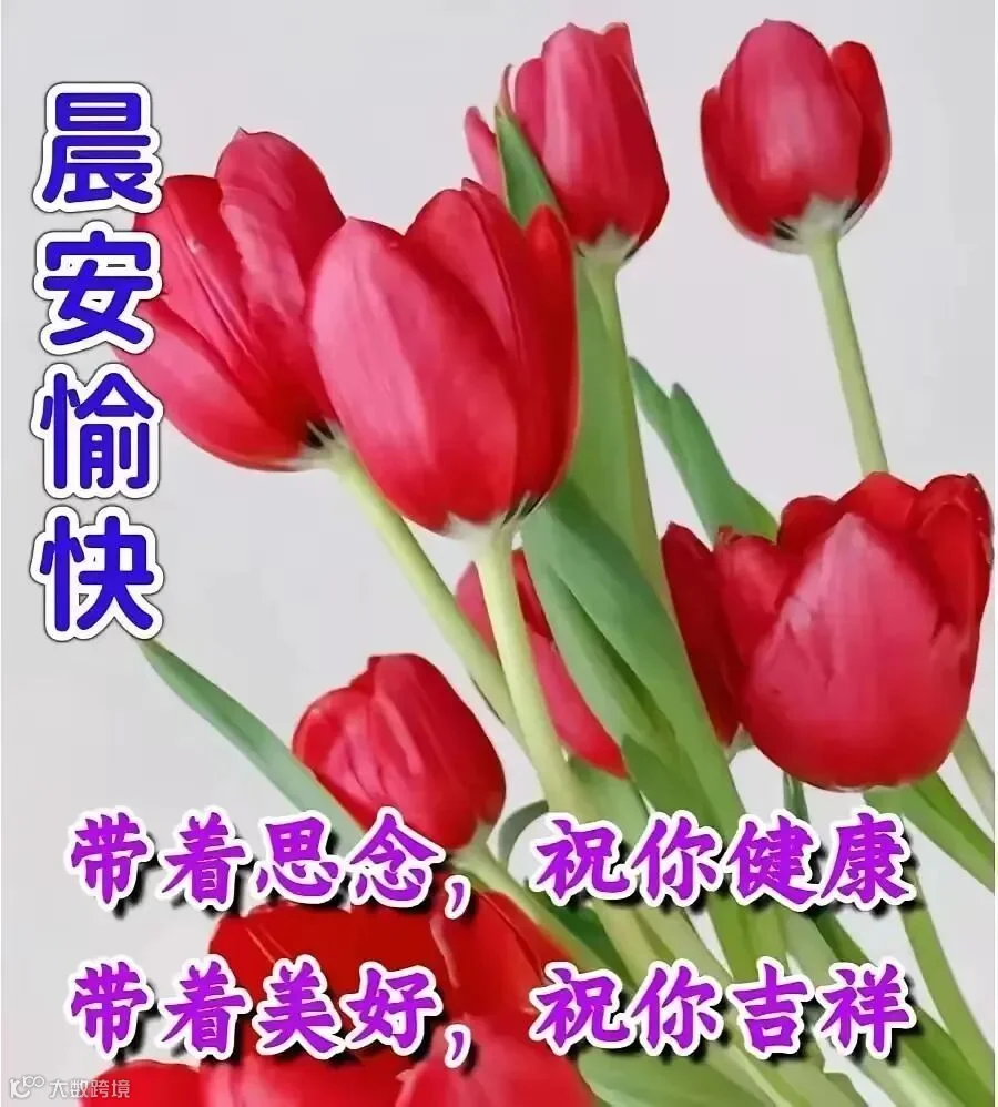早安祝福图片
