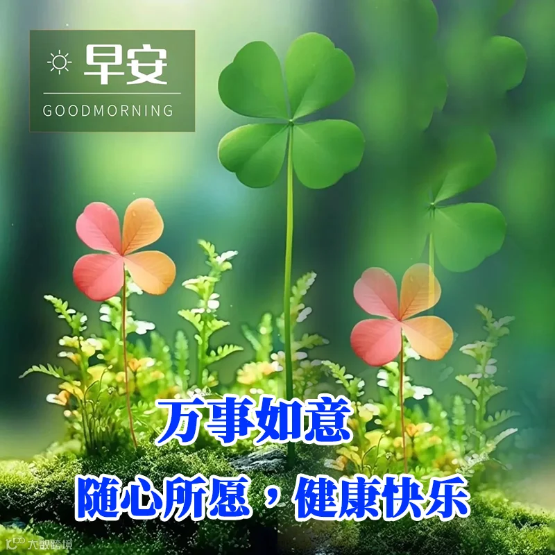 早安祝福图片