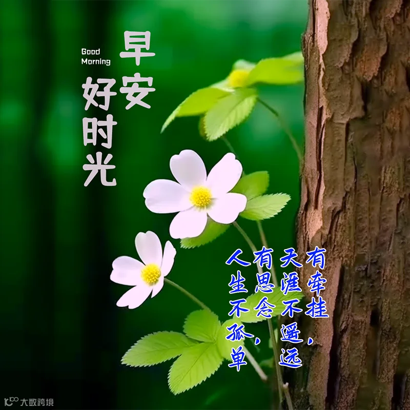 最新版早上好表情图片大全，真心的问候，不变的祝福