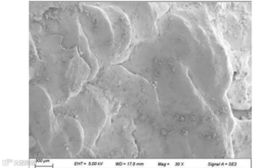图5 2号样品内壁形貌(30×)<br>
     Fig.5 Inner wall morphology of sample 2