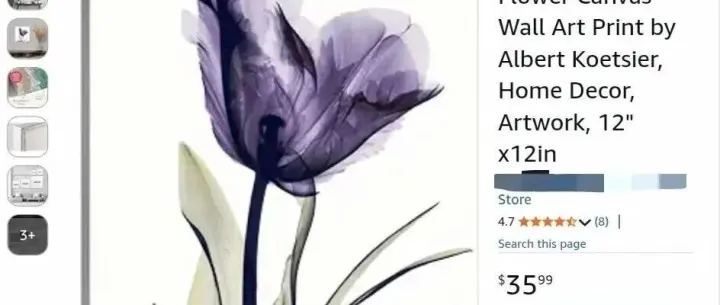 版权TRO：105家店铺涉案！Albert X射线植物摄影版权维权开启【26‑cv‑1834】