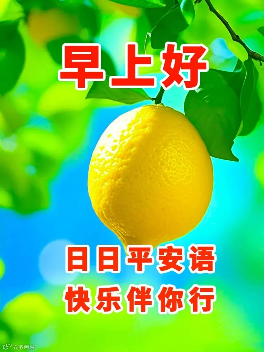 早上好问候图片