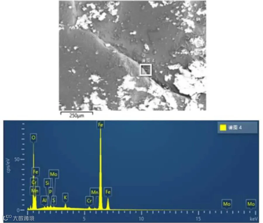图6 能谱分析选区(100×)<br>
     Fig.6 Selected area for energy spectrum analysis (100×)