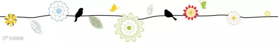 花分割线