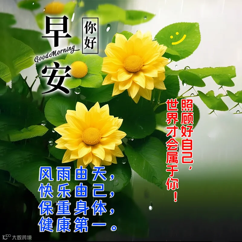 最新版早上好表情图片大全，真心的问候，不变的祝福