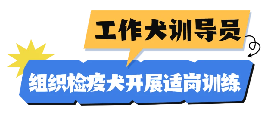 1宠物嘉年华蓝色简约公众号长图.png