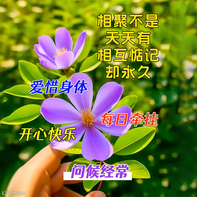 最新早上好问候语精选，深深祝福，情谊浓浓