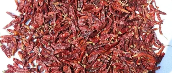 巴基斯坦干辣椒开辟中国西南地区贸易新通道 | 今日资讯